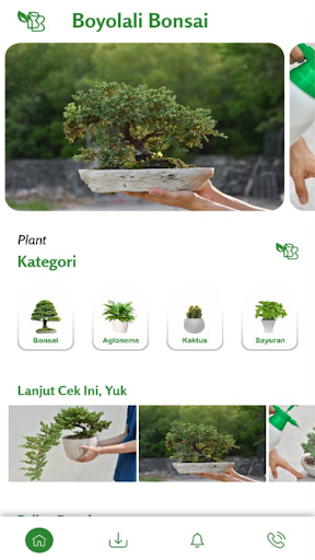 Boyolali Bonsai Screen 2