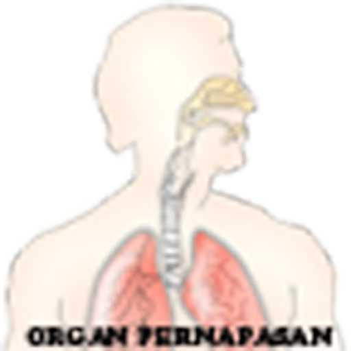 Aplikasi Organ Pernapasan Manusia