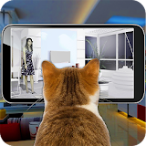 Cat Vision Camera Simulator icon