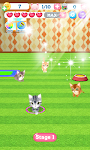 screenshot of Candy Cats