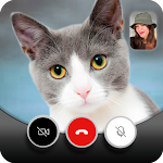 Cover Image of Скачать Cute Cat Video Call - Fake Video Call & Cat Game 1.1 APK