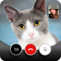 Cute Cat Video Call - Fake Video Call  Cat Game