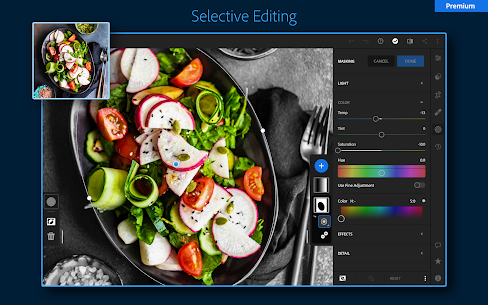 Lightroom Photo & Video Editor 7.4.1 15