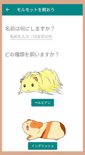 モルモットを飼おう Screen 3