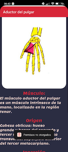 Sistema Muscular Screenshot 1 - AppWisp.com