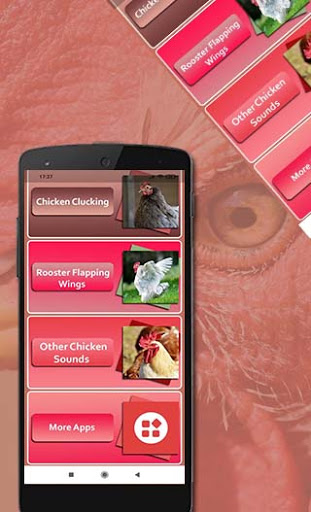 Rooster Sounds Screen 2