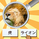 GuessPho Quiz ゲスズーム写真を日本語で再生 - Androidアプリ