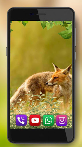 Fox Summer Forest Wallpaper