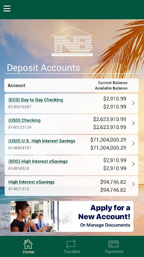 SKNANB MoBanking Screen 2
