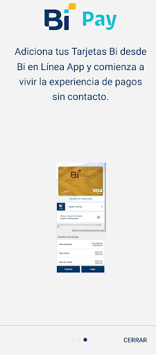 Bi Pay Screen 3