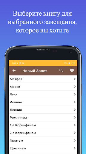 Предварительный просмотр приложения