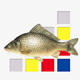 Zoetwatervissen van Nederland icon