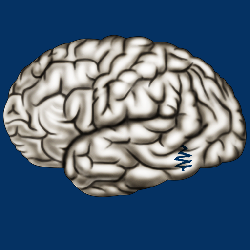Cerebrum ID logo