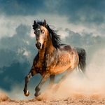 Cover Image of Скачать horse wallpapers 2.2 APK