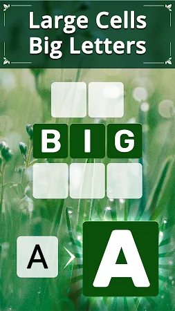 Game screenshot Vita Word for Seniors hack