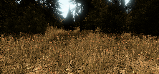 VR Forest Relaxation 3