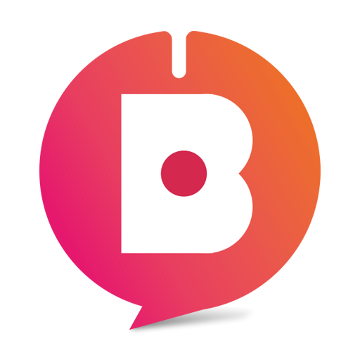 BwiseSoft HERP logo