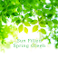 Sun Filled Spring Green Theme