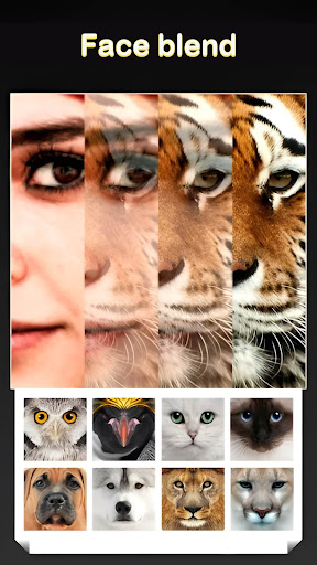 Beauty Face Plus :  face morph 3.7.1.2 screenshots 1