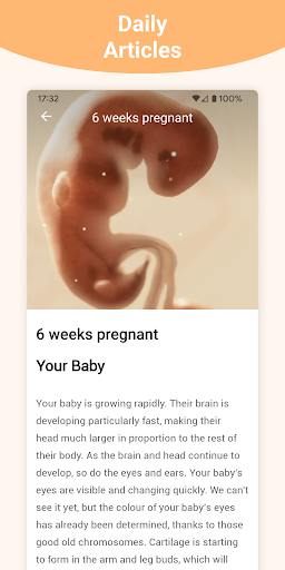 Pregnancy + | Tracker App 9