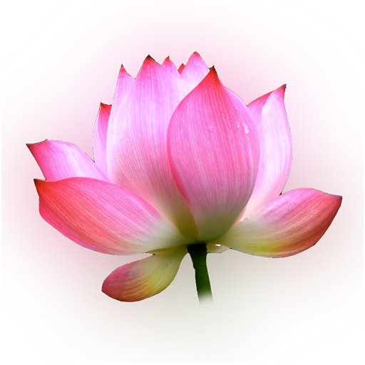 Sri Sri Meditations logo
