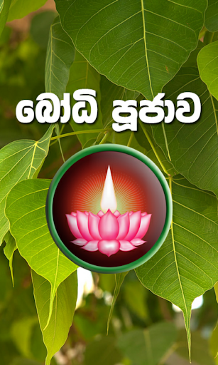 Android application Bodhi Poojawa screenshort