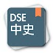 DSE中史