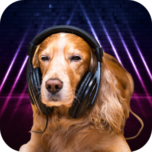 Relax Music for Dog Anxiety