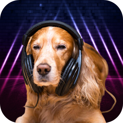 Relax Music for Dog Anxiety Download on Windows