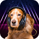 Relax Music for Dog Anxiety - Androidアプリ