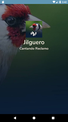 Android application Jilguero Cantando Reclamo screenshort