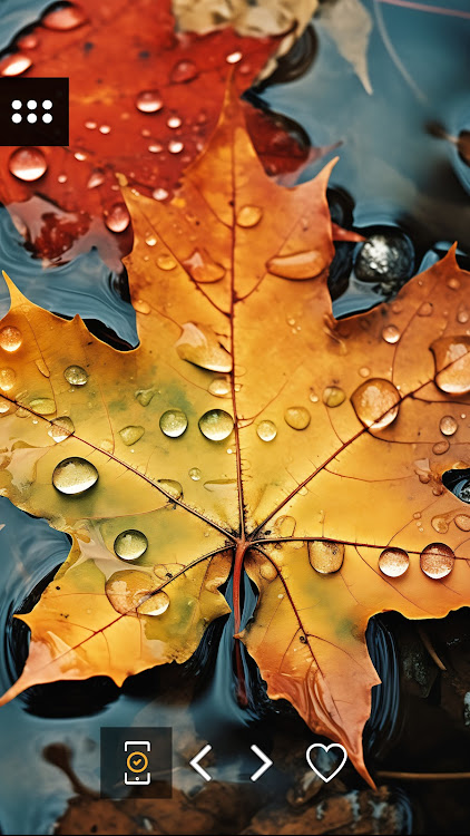 Wallpapers with leaves in 4K - 3.2.0 - (Android)