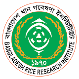 Rice Knowledge Bank icon