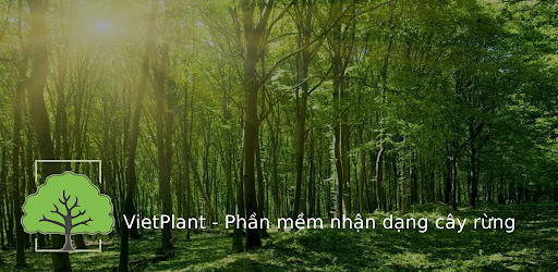 VietPlant - Nhận dạng cây rừng