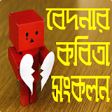 কষ্টের কবঠতা ও বঠরহের কাব্য- Bangla Biroher kobita icon