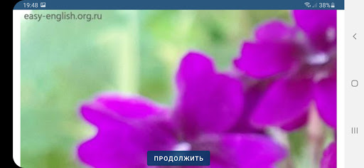 Vivid collection по непр. глаг