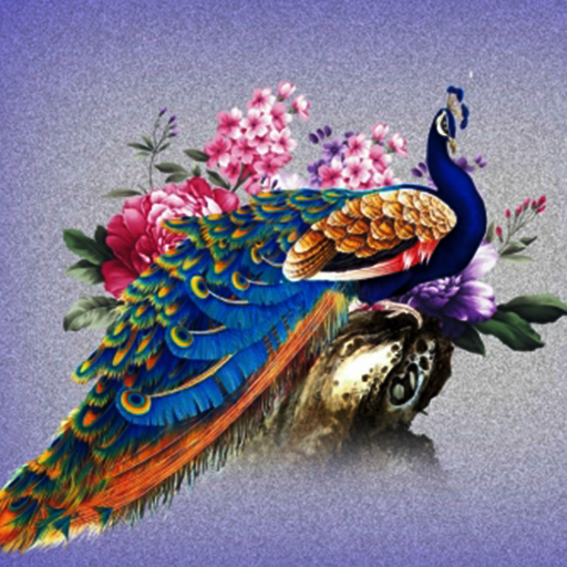Peacock HD Wallpaper - Apps on Google Play