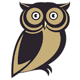 Wise Owl icon
