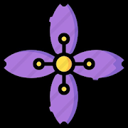 Celosia Celway Purple