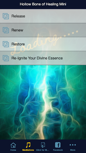 Lite Hollow Bone of Healing Screen 2