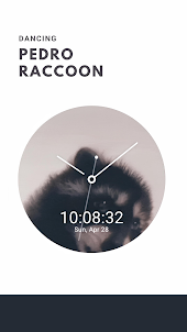 Pedro Raccoon Watch Face