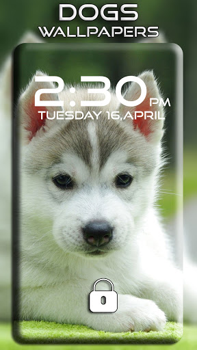 Dogs Wallpapers Screen 2