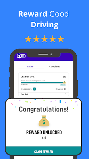 DriverZ Driving Coach