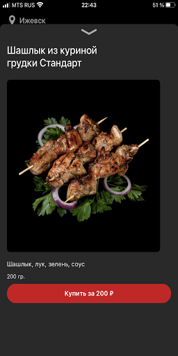 Raketa BBQ Screen 2