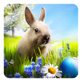Easter Bunny Live Wallpaper icon