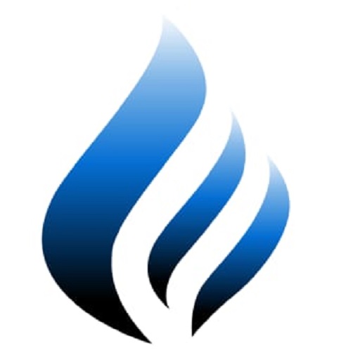 MCM Patna logo