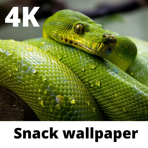 snack wallpaper 4k 2021
