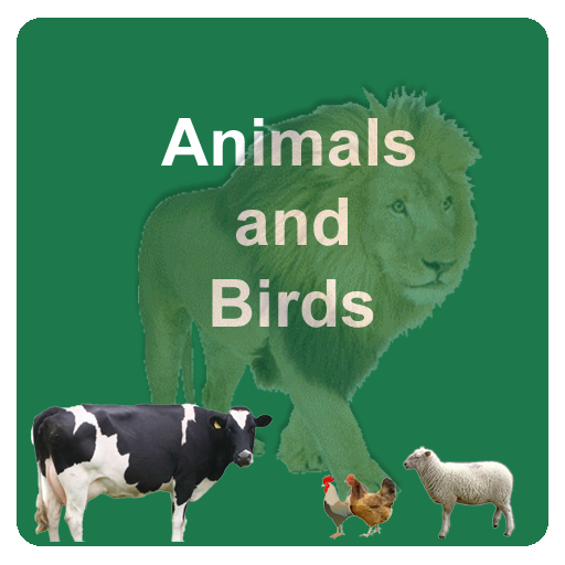 Learn Animals and Birds in Eng - Apps on Google Play