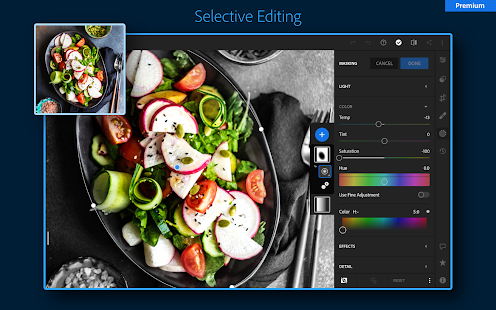 Adobe Lightroom Photo Editor Screenshot