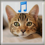 Cover Image of Скачать Cat Sound Ringtones  APK